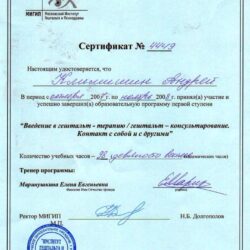 2007-2008 Введение в гештальт-терапию