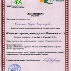 2011 Интенсив - гештальттерапия, психодрама