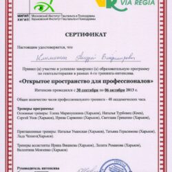 2013 Открытое пространство для профессионалов