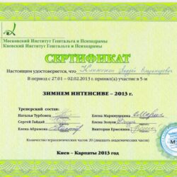 2013 Зимний интенсив