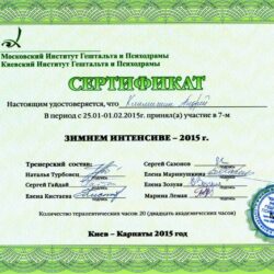 2015 Зимний интенсив