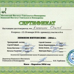 2016 Зимний интенсив