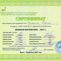 2017 Зимний интенсив