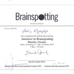 2019 Intensive of Brainspotting