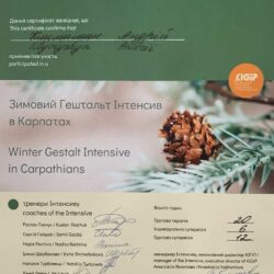 Зимовий гештальт Інтесив в Карпатах